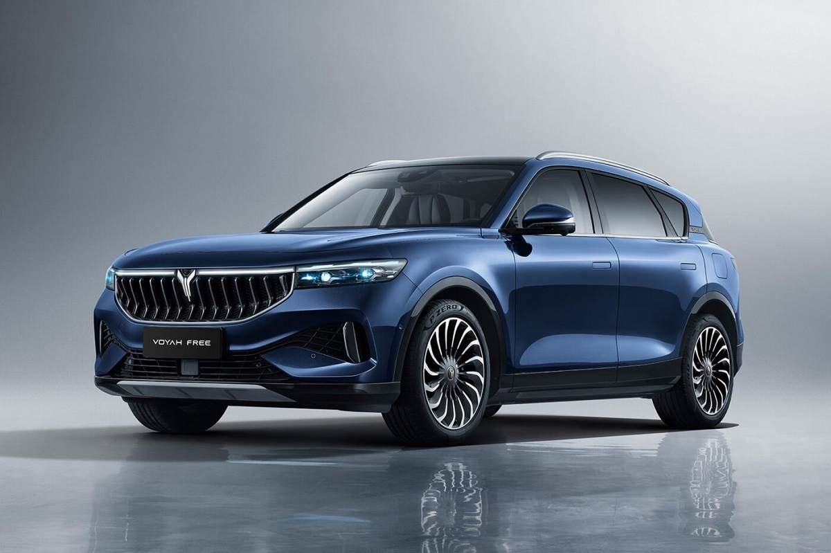 ورود و تحویل وویا فری ۲۰۲۵